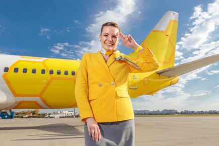 cheerful-woman-stewardesses-airline-suit-doing-salute-gesture-smiling-while-standing-near-yellow-airplane_386167-14738